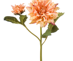Zijden bloem "Dahlia" perzik (gedroogde look) | 52cm