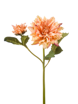 Zijden bloem "Dahlia" perzik (gedroogde look) | 52cm