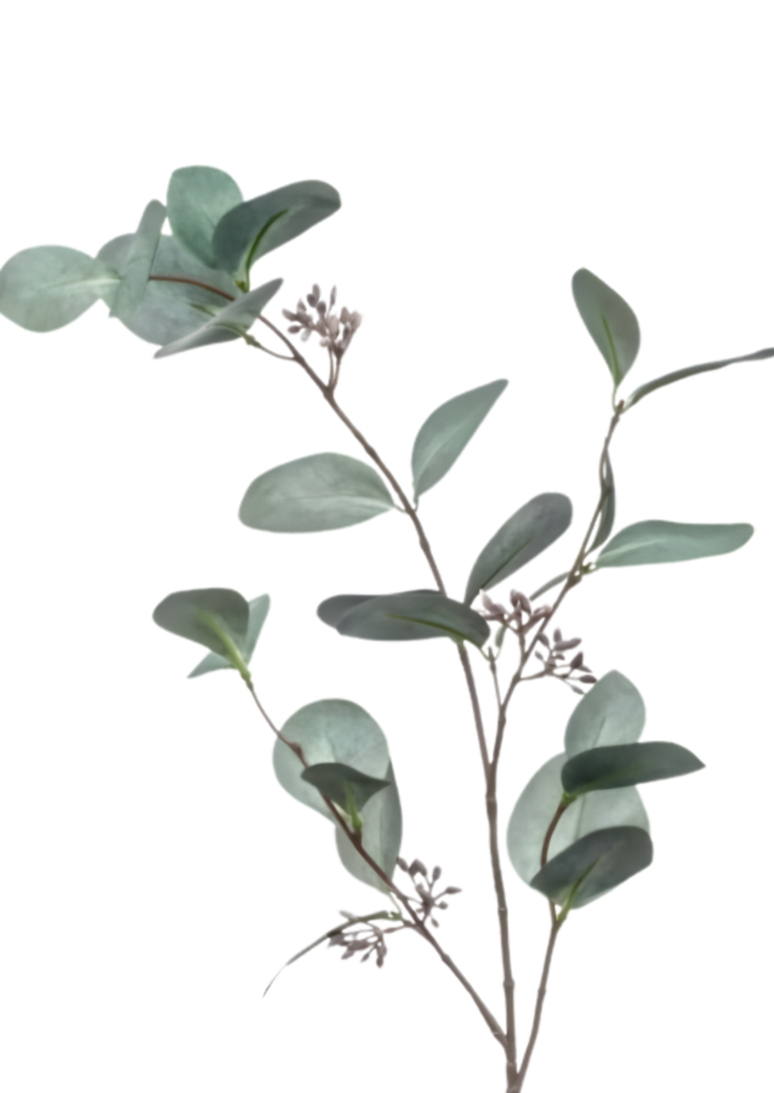 Zijden takken "Eucalyptus" grijs | 73cm