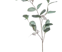 Zijden takken "Eucalyptus" grijs | 73cm