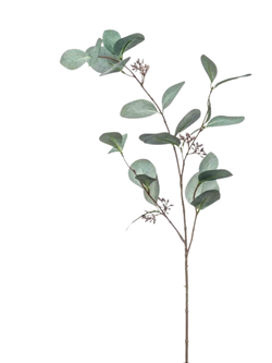 Zijden takken "Eucalyptus" grijs | 73cm