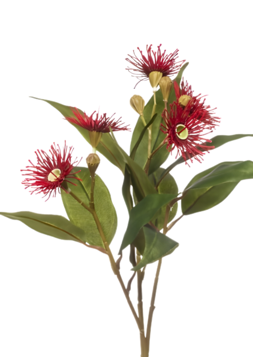 Zijden bloem "Eucalyptus-bloem" rood | 62cm