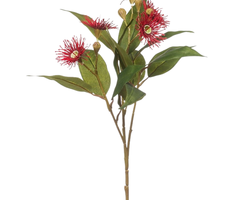 Zijden bloem "Eucalyptus-bloem" rood | 62cm