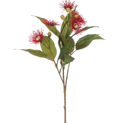 Zijden bloem "Eucalyptus-bloem" rood | 62cm