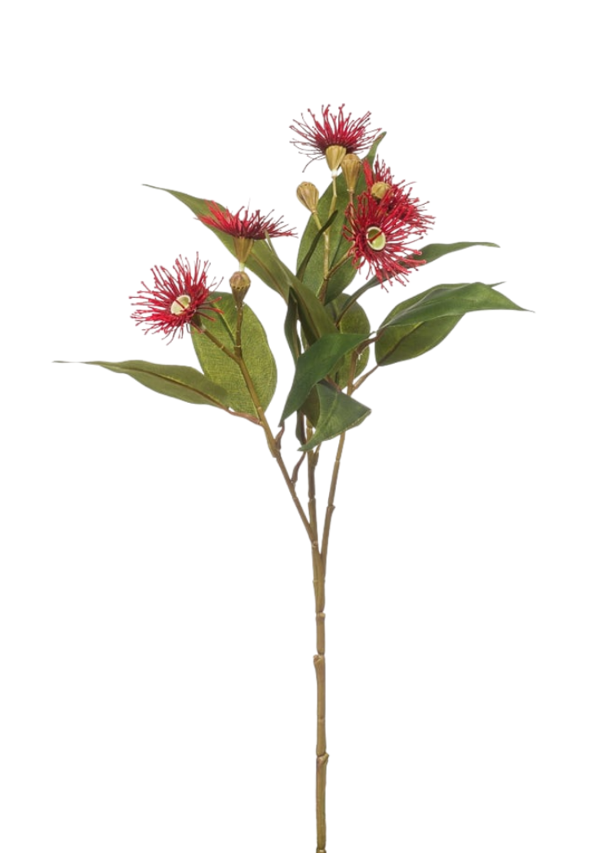 Zijden bloem "Eucalyptus-bloem" rood | 62cm