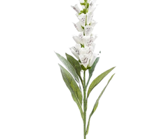 Zijden bloem "Digitalis" wit | 92cm