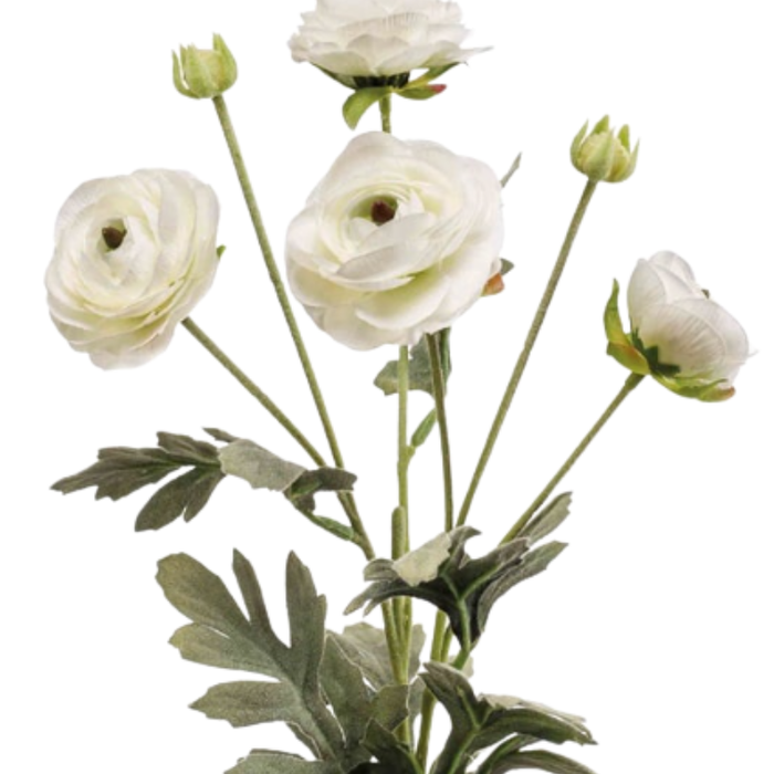 Zijden bloem "Ranunculus" créme | 65cm