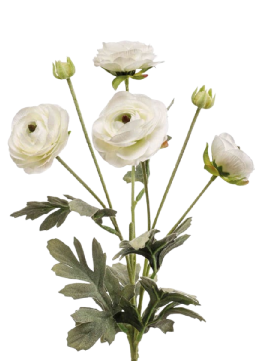 Zijden bloem "Ranunculus" créme | 65cm