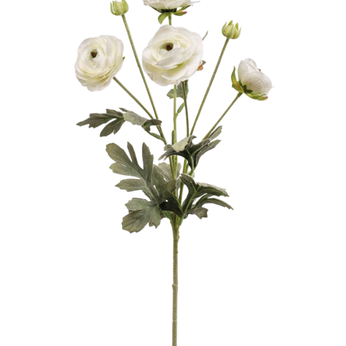 Zijden bloem "Ranunculus" créme | 65cm