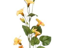 Zijden bloem "Petunia" geel | 74cm