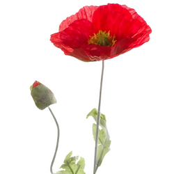 Zijden bloem "Poppy" rood | 70cm