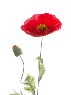 Zijden bloem "Poppy" rood | 70cm
