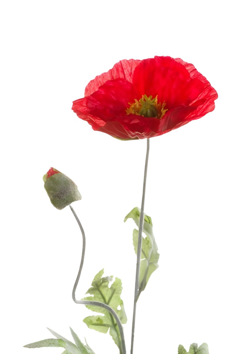 Zijden bloem "Poppy" rood | 70cm