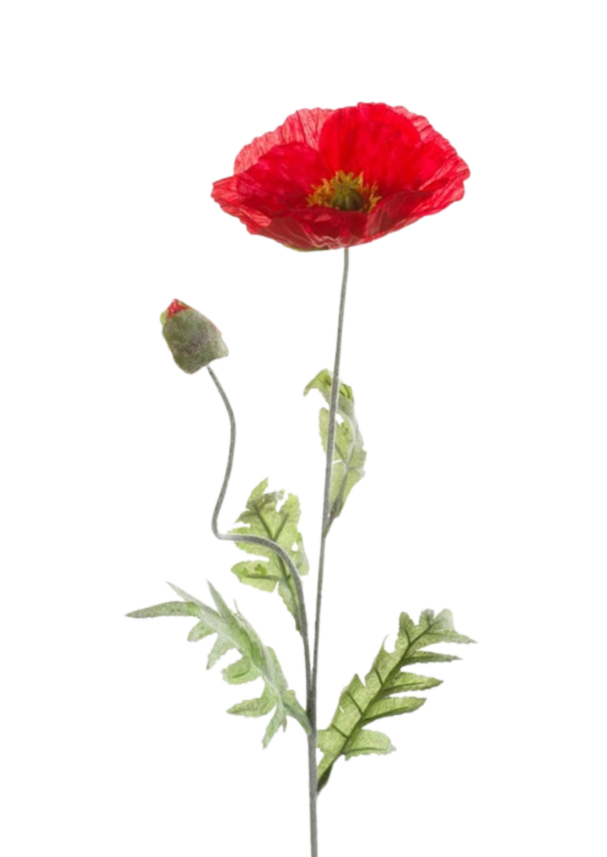 Zijden bloem "Poppy" rood | 70cm