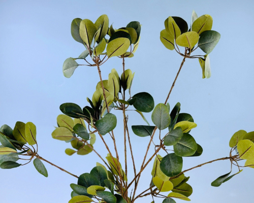 De grote voordelen van zijden planten