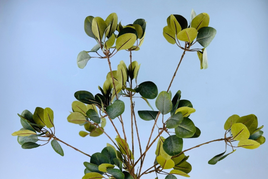 De grote voordelen van zijden planten