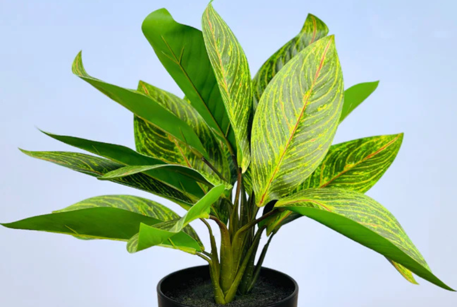 Hoe zorg ik voor zijden planten tijdens vakantie?