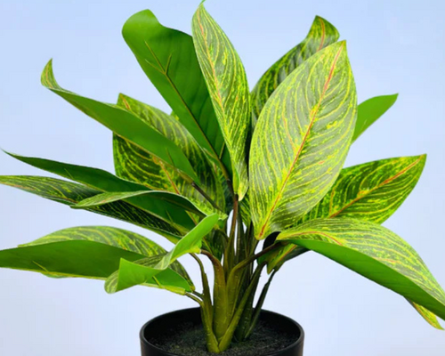 Waarom zijden planten niet uit de mode zullen gaan