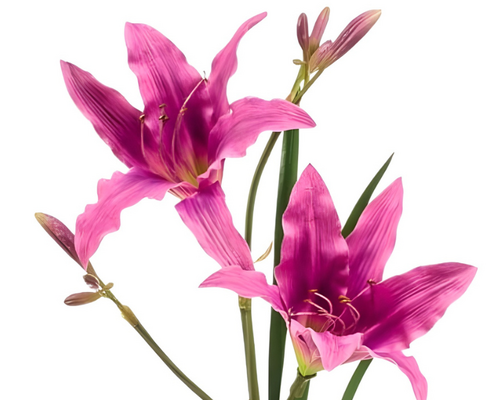 Mijn zijden bloem is stoffig geworden, wat nu?