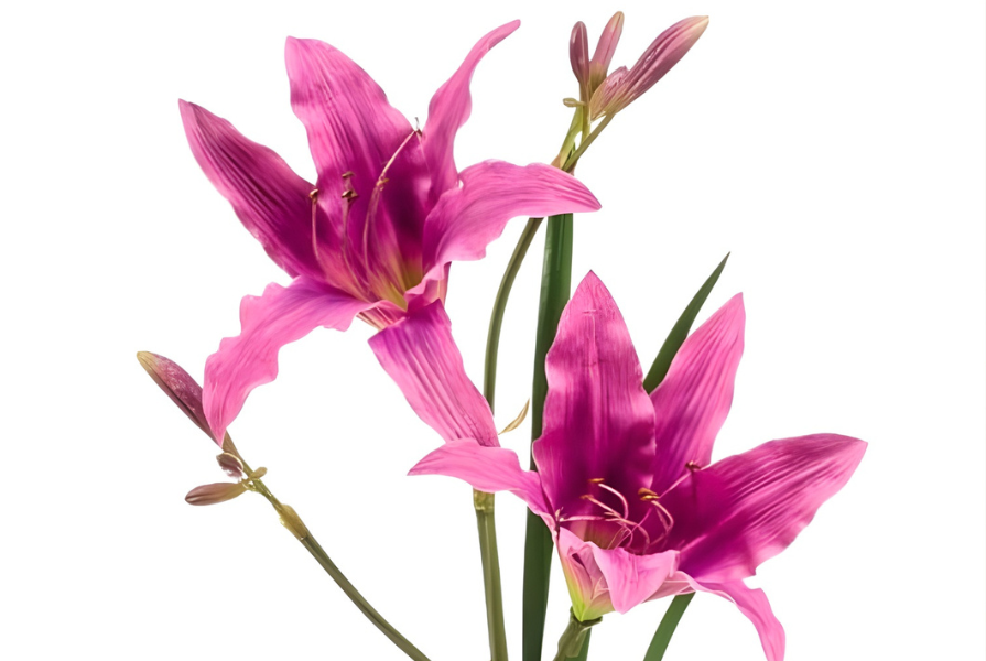 Mijn zijden bloem is stoffig geworden, wat nu?