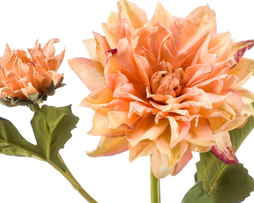 Hoe lang gaan zijden bloemen mee?