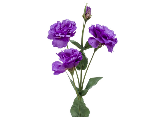 Hoe zijn zijden bloemen plots zo populair geworden?