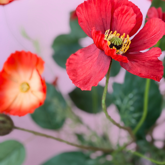 Zijden boeket "Poppy Love" | 60cm