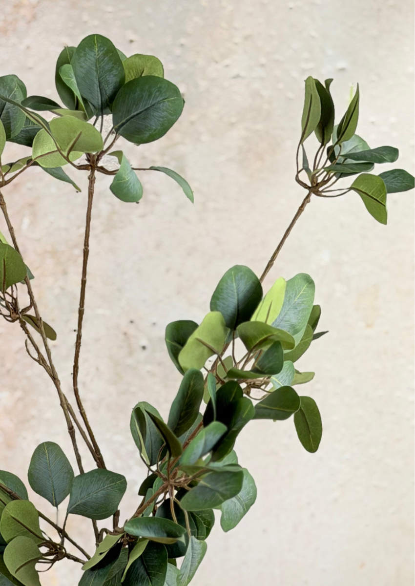 Zijden takken "Eucalyptus" - 3 stelen