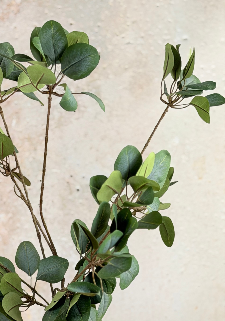 Zijden takken "Eucalyptus" - 3 stelen