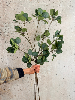 Zijden takken "Eucalyptus" - 3 stelen