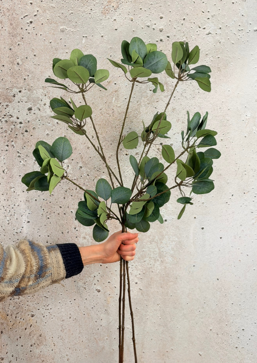 Zijden takken "Eucalyptus" - 3 stelen