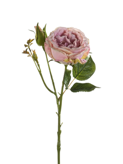 Zijden bloem "Rose Anne" paars | 37cm