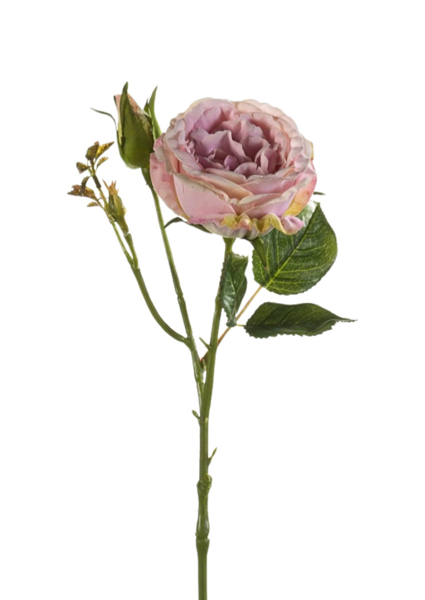 Zijden bloem "Rose Anne" paars | 37cm