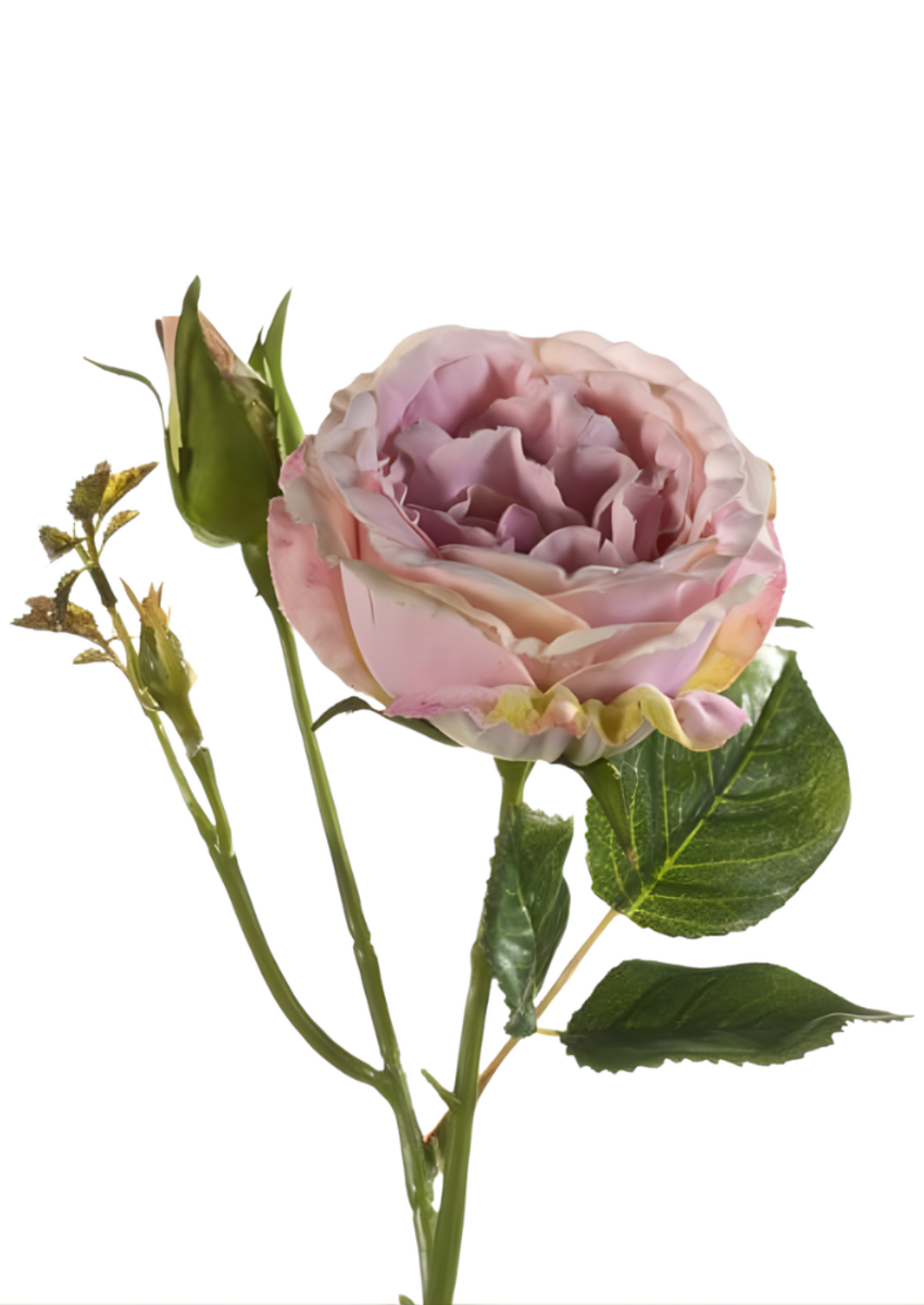 Zijden bloem "Rose Anne" paars | 37cm