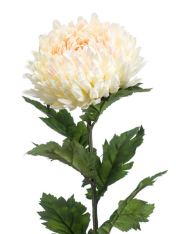 Zijden bloem "Mum" crème | 75 cm