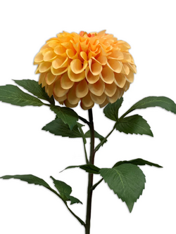 Zijden bloem "Dahlia" Pompom perzik | 74 cm