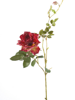 Zijden bloem "Rose Dianna" donkerroze | 75 cm