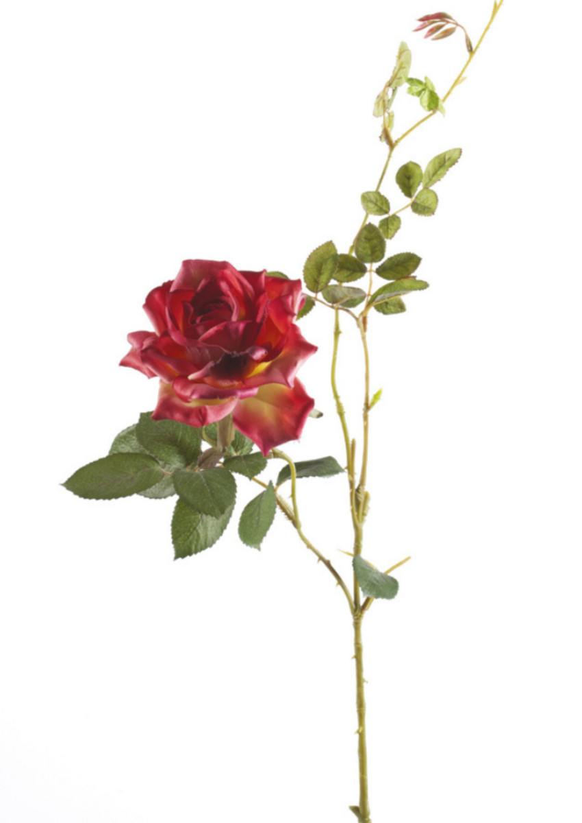 Zijden bloem "Rose Dianna" donkerroze | 75 cm