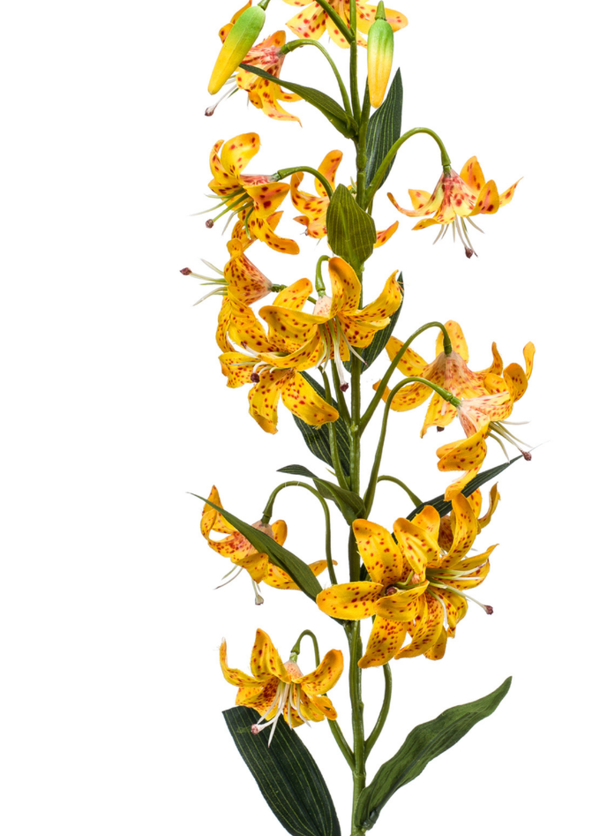 Zijden bloem "Lilly" geel | 80 cm