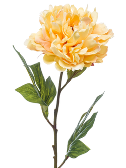 Zijden bloem "Peony" Chelsea geel | 77 cm