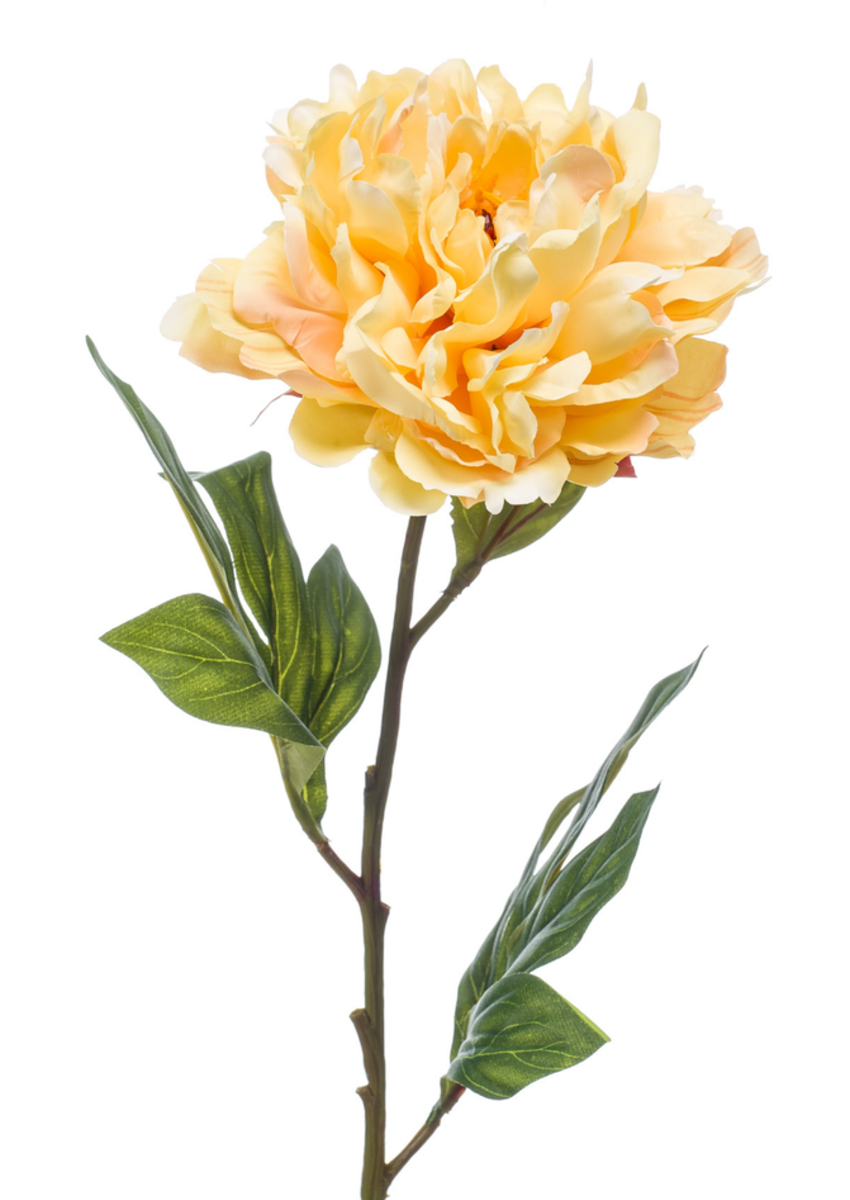 Zijden bloem "Peony" Chelsea geel | 77 cm