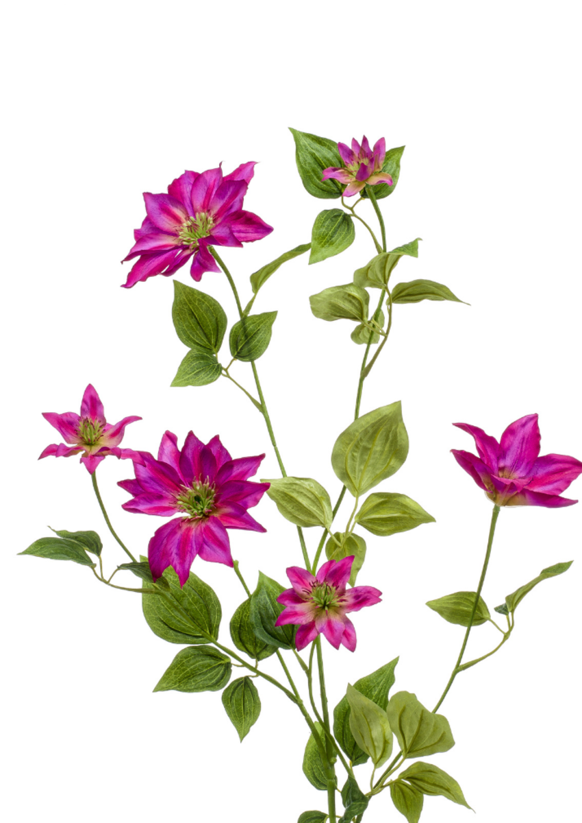 Zijden bloem "Clematis" fuchsia | 110 cm
