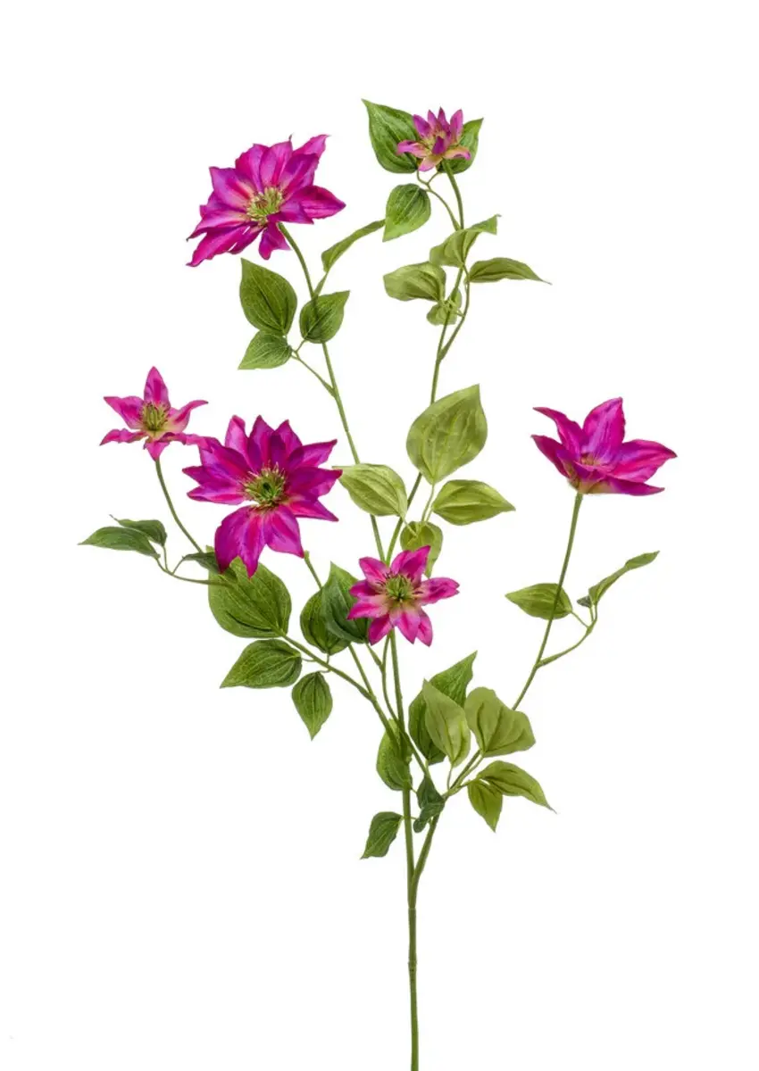 Zijden bloem "Clematis" fuchsia | 110 cm