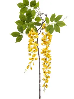 Zijden bloem "Wisteria tak" geel | 145 cm