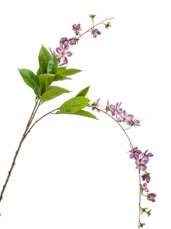 Zijden bloesem "Bauhinia hanging spray" paars | 100 cm