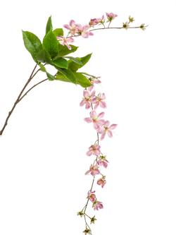 Zijden bloesem "Bauhinia hanging spray" roze | 100 cm