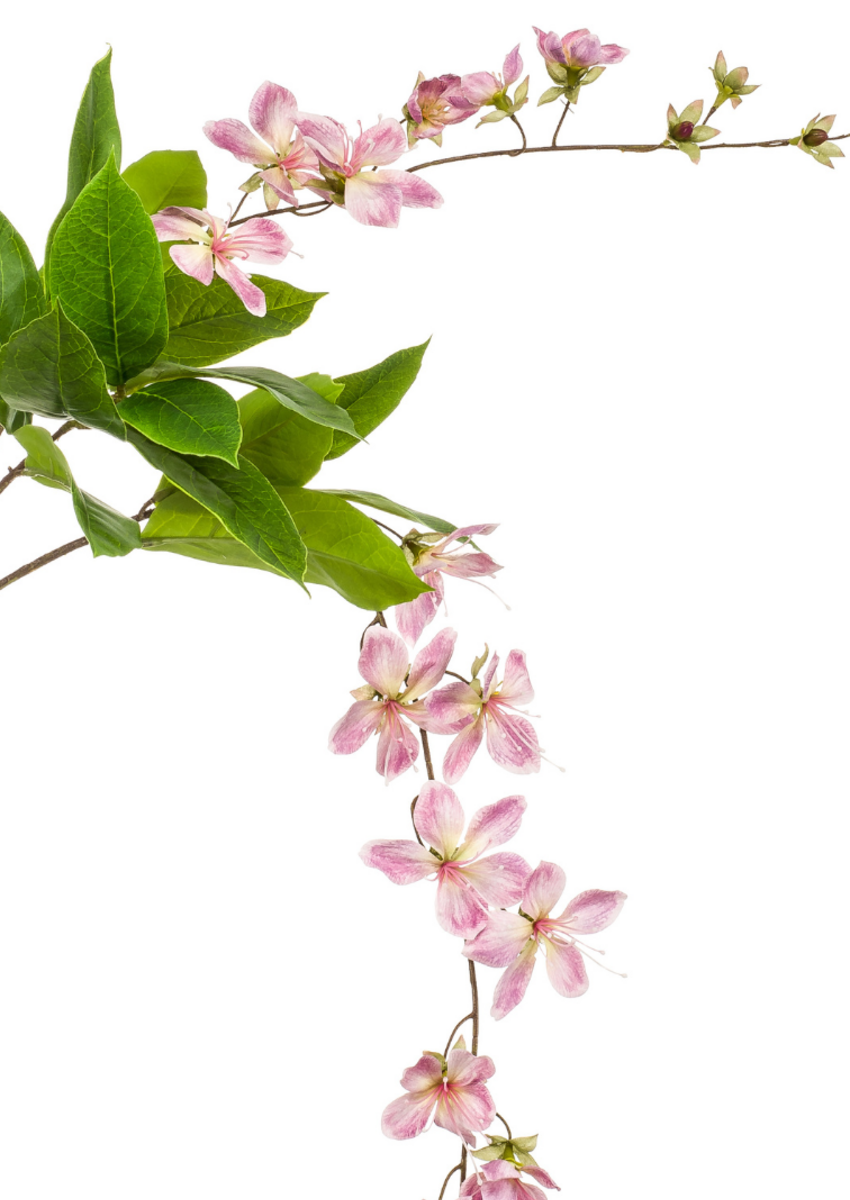 Zijden bloesem "Bauhinia hanging spray" roze | 100 cm
