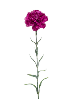 Zijden bloem "Dianthus" paars | 67cm