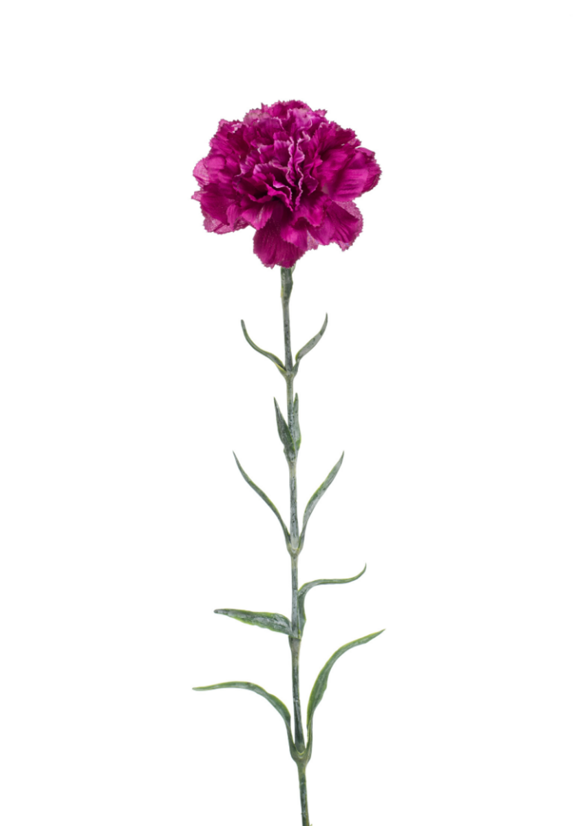 Zijden bloem "Dianthus"  paars | 67cm