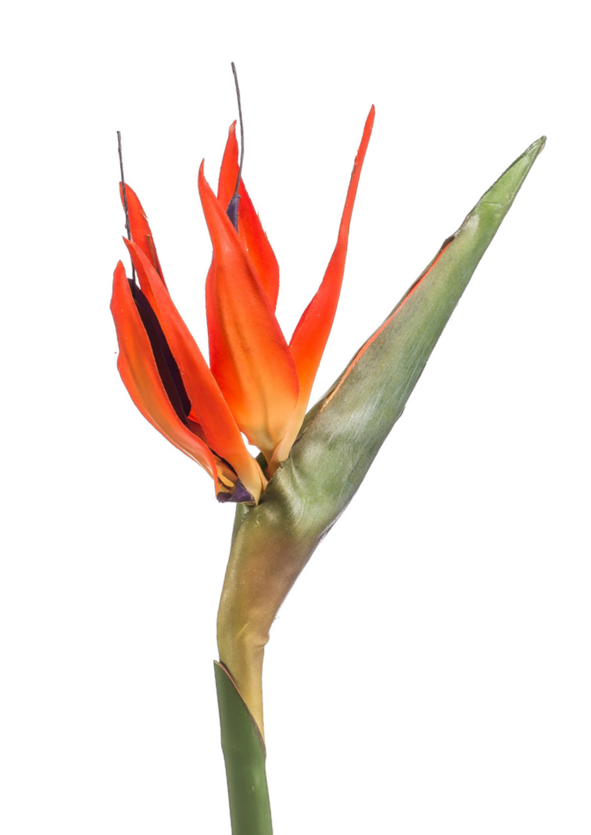 Zijden bloem "Strelitzia" oranje | 85cm